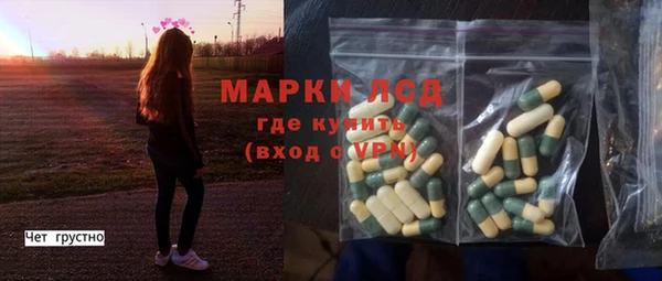 гидра Елизово