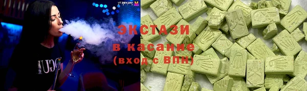 соль ск Ельня