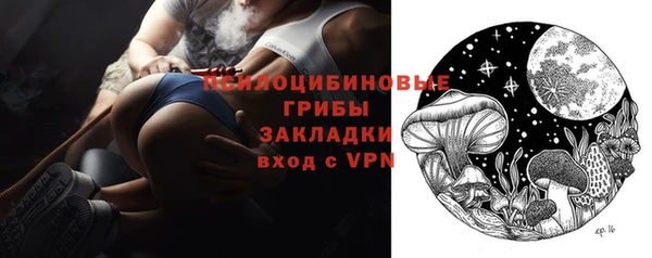 гидра Елизово