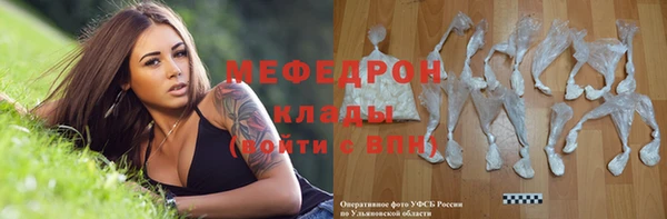 соль ск Ельня