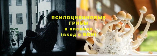 стаф Елабуга