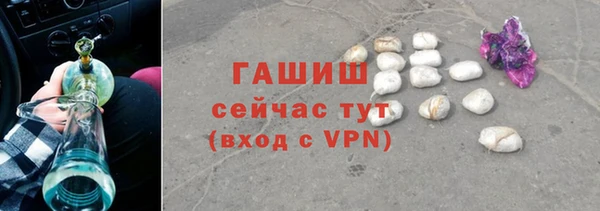 гидра Елизово