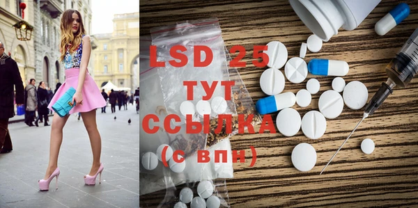 гидра Елизово