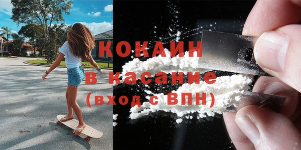 соль ск Ельня