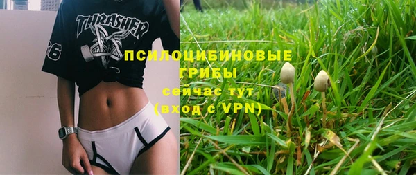 соль ск Ельня