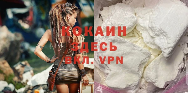 соль ск Ельня