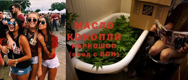 соль ск Ельня