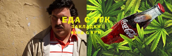 соль ск Ельня