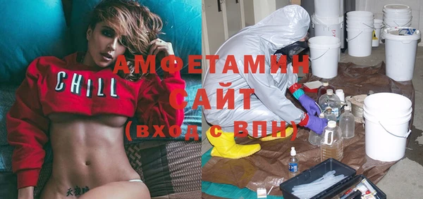 соль ск Ельня