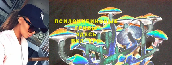 гидра Елизово