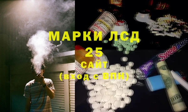 соль ск Ельня
