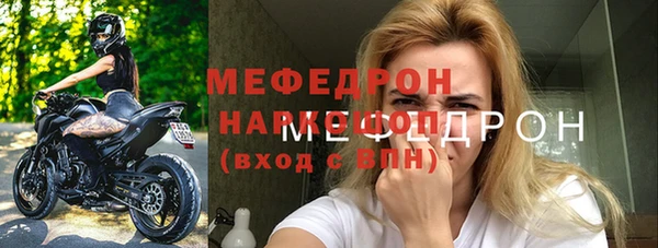 соль ск Ельня
