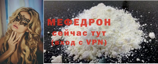 соль ск Ельня
