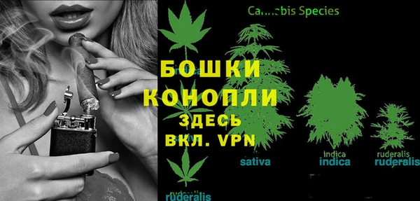 соль ск Ельня