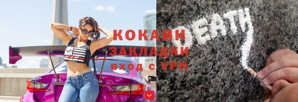 гидра Елизово