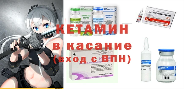 гидра Елизово